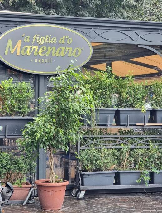 Casa Comoda E Centrale In Quartiere Storico Di Napoli 外观 照片